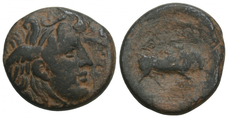 Greek
SELEUKID KINGS OF SYRIA. Seleukos I Nikator (312-281 BC). Ae. Sardes. 5.7g...