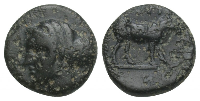 Larisa Phrikonis (BC 400-300) AE 11 ca 4th century BC. AE. 1.3gr 10.7mm
Head of ...