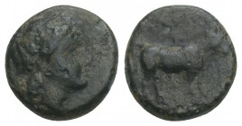 Greek
circa 400-300 BC. Bronze Æ 1.2gr. 10.7mm Laureate head of Apollo right / Bull advancing r.