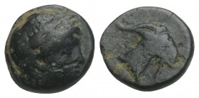 Greek Coins
 obv.Laureate head of Apollo right. Rev: Head of goat right. 1gr 9.6mm