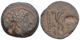 Greek
Seleukid Kingdom. Alexander II Zebinas. 128-122 B.C. AE series 5 / type C. Antioch mint. 7.2gr 21mm
Radiate and diademed head of Alexander Zebin...