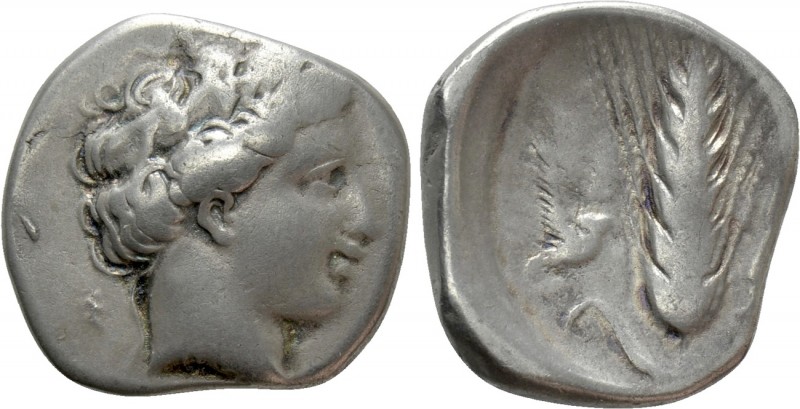 LUCANIA. Metapont. Stater (400-340 BC). 

Obv: Head of Dionysus right, wearing...