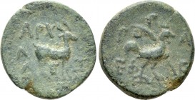 IONIA. Ephesus. Pseudo-autonomous. Time of Tiberius (14-37). Ae. Alexander, Archierus and Grammateus