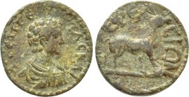 IONIA. Ephesus. Geta (209-211). Ae