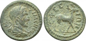 IONIA. Ephesus. Maximinus Thrax (235-238). Ae