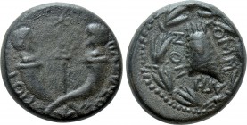 KINGS OF COMMAGENE. Epiphanes & Kallinikos (72 AD). Ae