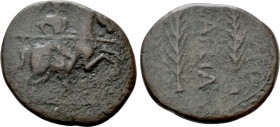 HISPANIA. Baetica. Laelia. As (Circa 2nd century AD)