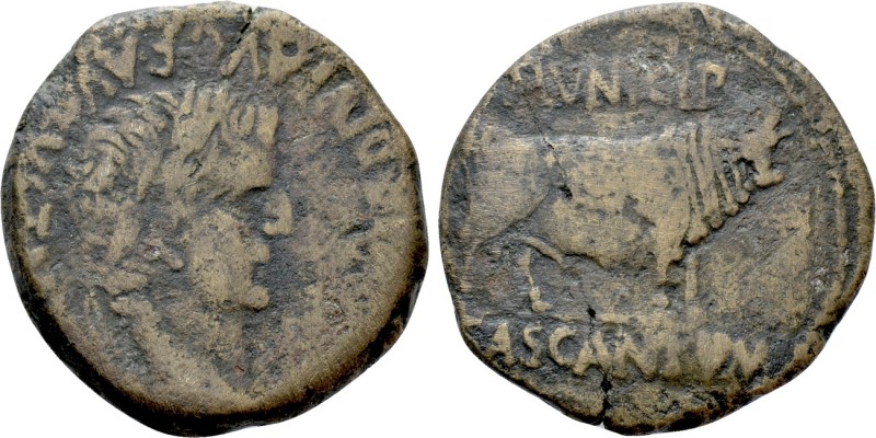HISPANIA. Tarraconensis. Cascantum. Tiberius (14-37). As. 

Obv: TI CAESAR DIV...