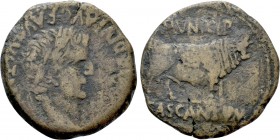 HISPANIA. Tarraconensis. Cascantum. Tiberius (14-37). As