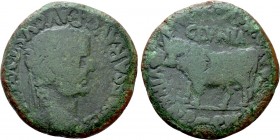 HISPANIA. Tarraconensis. Clunia. Tiberius (14-37). As. Cnaeus Pompeius, M. Avus, T. Antonius and M. Julius Seranus, quattorviri