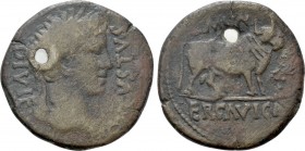 HISPANIA. Tarraconensis. Ercavica. Augustus (27 BC-14 AD). As