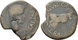 HISPANIA. Tarraconensis. Graccurris. Tiberius (14-37). As