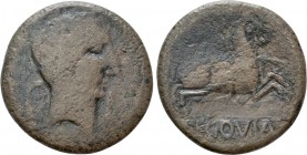 HISPANIA. Tarraconensis. Segovia. Augustus (27 BC-14 AD). As