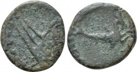 GAUL. Gallia Narbonensis. Forum Iulii. Ae (Circa 1st century BC)