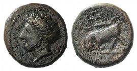 Sicily, Syracuse, c. 317-310 BC. Æ Trias(?) (15mm, 4.00g, 12h). Head of Kore l. R/ Bull butting l.; dolphin above; letter in exergue. CNS II, 99. Brow...