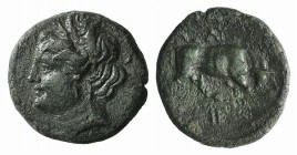 Sicily, Syracuse, c. 275-215 BC. Æ (15mm, 2.92g, 9h). Head of Kore l. R/ Bull butting r. CNS II, 200. Rare variant, dark green patina, Good VF