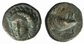 Aeolis, Gyrneion, 4th century BC. Æ (10mm, 1.32g, 9h). Laureate head of Apollo facing slightly l. R/ Mussel shell. SNG von Aulock 7689. Green patina, ...