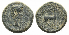 Germanicus (Caesar, 15 BC-AD 19). Phrygia, Apameia. Æ (14mm, 4.08g, 12h). Gaius Julius Callicles, magistrate. Bare head r. R/ Stag standing r. on maea...