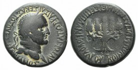 Vespasian (69-79). Phrygia, Apameia. Æ (24mm, 10.16g, 12h). Plancius Varus, magistrate. Laureate head r. R/ Five grain ears bundled together. RPC II 1...