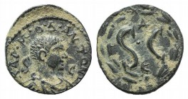 Diadumenian (AD 218). Seleucis and Pieria, Antioch. Æ As (19mm, 4.84g, 6h). Bare-headed and cuirassed bust r. R/ S•C; Δ above, Є below; all within lau...