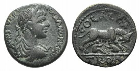 Severus Alexander (222-235). Troas, Alexandria. Æ (24mm, 7.66g, 6h). Laureate, draped and cuirassed bust r. R/ She-wolf r., head l., suckling the twin...