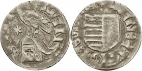 Walachei
Wladislaus I. 1364 - 1377 Denar Gespaltenes Wappen / Helm mit Adler, links sechsstrahliger Stern MBR -, vgl. 17-21 0.91 g. Sehr schön-vorzüg...
