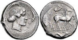 Zweite Demokratie
Griechische Münzen, Syrakus. Tetradrachme, um 450 - 439 v. Chr.. Wagenlenker, der Kentron und Zügel hält, langsam Biga nach rechts f...
