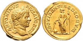 Caracalla 198 / 211 - 217
Römische Münzen, Römisches Kaiserreich. Aureus, 210-213 n. Chr.. Av.: ANTONINVS - PIVS AVG BRIT, Kopf mit Lorbeerkranz n.r. ...