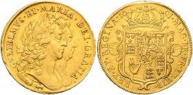William and Mary 1688 - 1694
Großbritannien. 5 Guineas, 1691. With elephant & castle. GVLLELMVS ET MARIA DEI GRATIA. Conjoined busts right // MAG BR F...