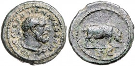Traianus 98 - 117
Römische Münzen, Römisches Kaiserreich. Quadrans, 98-102 n. Chr.. Av.: Herculesbüste. Rv.: Eber n.r. Ex Gorny 87 (1998), 582.
Roma
3...