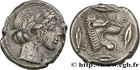 SICILY - LEONTINOI
Type : Tétradrachme 
Date : c. 455-430 AC. 
Mint name / Town : Leontini, Sicile 
Metal : silver 
Diameter : 26  mm
Orientation dies...