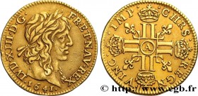 LOUIS XIII
Type : Demi-louis d'or à la mèche longue 
Date : 1641 
Mint name / Town : Paris 
Quantity minted : 734400 
Metal : gold 
Millesimal finenes...