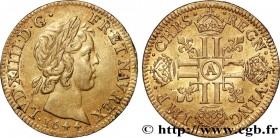 LOUIS XIV "THE SUN KING"
Type : Louis d'or à la mèche courte 
Date : 1644 
Mint name / Town : Paris, Monnaie du Louvre 
Quantity minted : 344195 
Meta...