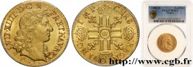 LOUIS XIV "THE SUN KING"
Type : Louis d'or juvénile à la tête nue 
Date : 1682 
Mint name / Town : Lyon 
Quantity minted : 85869 
Metal : gold 
Milles...