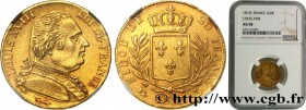 LOUIS XVIII
Type : 20 francs or Louis XVIII, buste habillé 
Date : 1815 
Mint name / Town : Bayonne 
Quantity minted : 54444 
Metal : gold 
Millesimal...