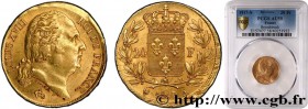LOUIS XVIII
Type : 20 francs or Louis XVIII, tête nue, Fauté 
Date : 1817 
Mint name / Town : Paris 
Quantity minted : 2.133.071 
Metal : gold 
Diamet...