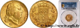 LOUIS XVIII
Type : 20 francs or Louis XVIII, tête nue 
Date : 1824 
Mint name / Town : Marseille 
Quantity minted : 1983 
Metal : gold 
Millesimal fin...