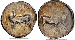 LUCANIA. Laus. Ca 480-460 BC. AR stater (20mm, 7.74 gm, 11h). NGC VF 3/5 - 2/5, die shift. ΛAS, man-faced bull standing left, head reverted / ΛAS, man...