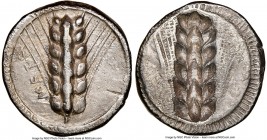 LUCANIA. Metapontum. Ca. 470-440 BC. AR stater (21mm, 6h). NGC XF, edge filing, brushed. META, six-grained barley ear; dotted border on raised rim / I...