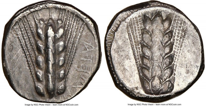 LUCANIA. Metapontum. Ca. 470-440 BC. AR stater (19mm, 7h). NFC Choice VF, edge f...
