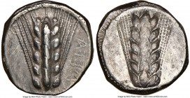 LUCANIA. Metapontum. Ca. 470-440 BC. AR stater (19mm, 7h). NFC Choice VF, edge filing, scratches. META (retrograde), five-grained barley ear; dotted b...