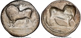 LUCANIA. Sybaris. Ca. 550-510 BC. AR stater or nomos (29mm, 7.29 gm, 12h). NGC Choice VF 5/5 - 2/5, brushed. Bull standing left, head right, on beaded...