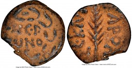 JUDAEA. Roman Procurators. Porcius Festus (AD 59-62). AE prutah (16mm, 11h).NGC Choice VF. Jerusalem, dated Regnal Year 5 of Nero (AD 58/9). NЄP/WNO/C...