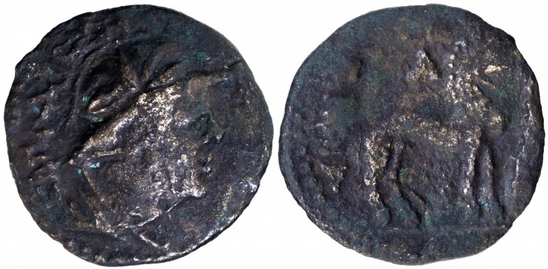 Ancient India Coins
Kushan Dynasty
Early Kushans-Yuezhi, Sapadbizes (20-1 BC),...