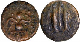 Copper Kasu Coin of Pandyas of Madurai.