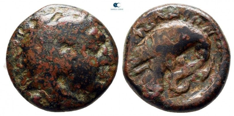 Macedon. Pydna circa 381-369 BC. 
Bronze Æ

14 mm., 3,92 g.



fine