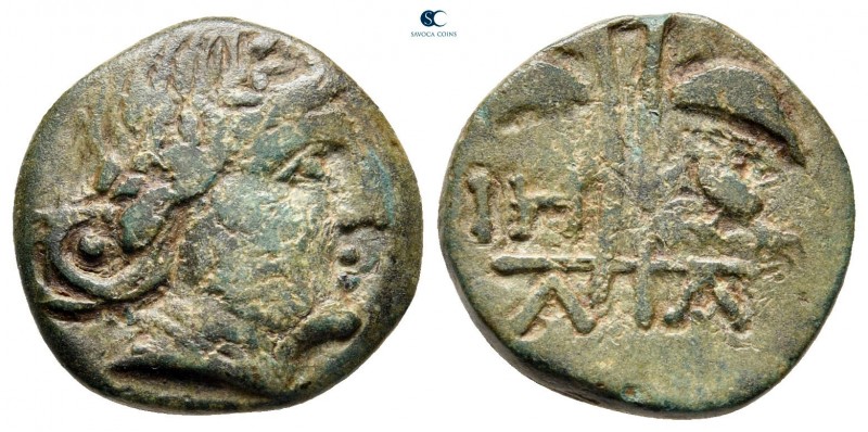 Thrace. Apollonia Pontica circa 200-100 BC. 
Bronze Æ

17 mm., 3,36 g.


...