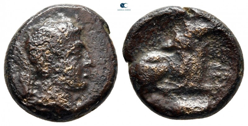 Akarnania. Argos Amphilochicon circa 330-300 BC. 
Bronze Æ

16 mm., 3,72 g.
...