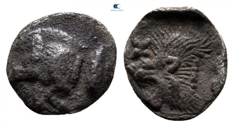 Mysia. Kyzikos circa 450-400 BC. 
Hemiobol AR

9 mm., 0,35 g.



very fin...