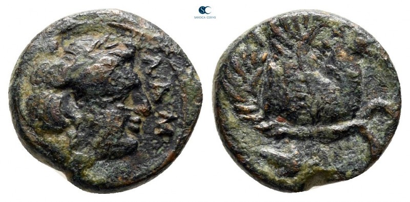 Mysia. Lampsakos circa 400-200 BC. 
Bronze Æ

9 mm., 1,01 g.



very fine...